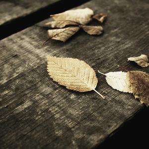 女孩子光溜溜在家里好吗
