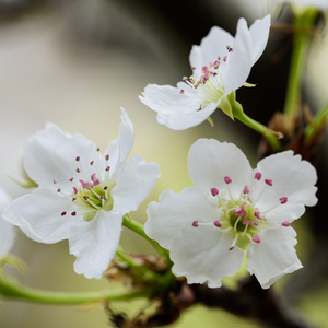 女孩子光溜溜在家里好吗
